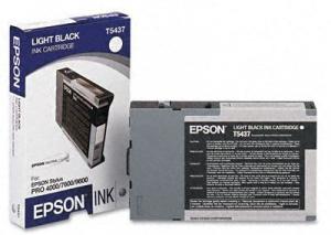 EPSON TINTAPATRON T543700 GRAY (LEJÁRT SZAVATOSSÁGÚ TERMÉK)